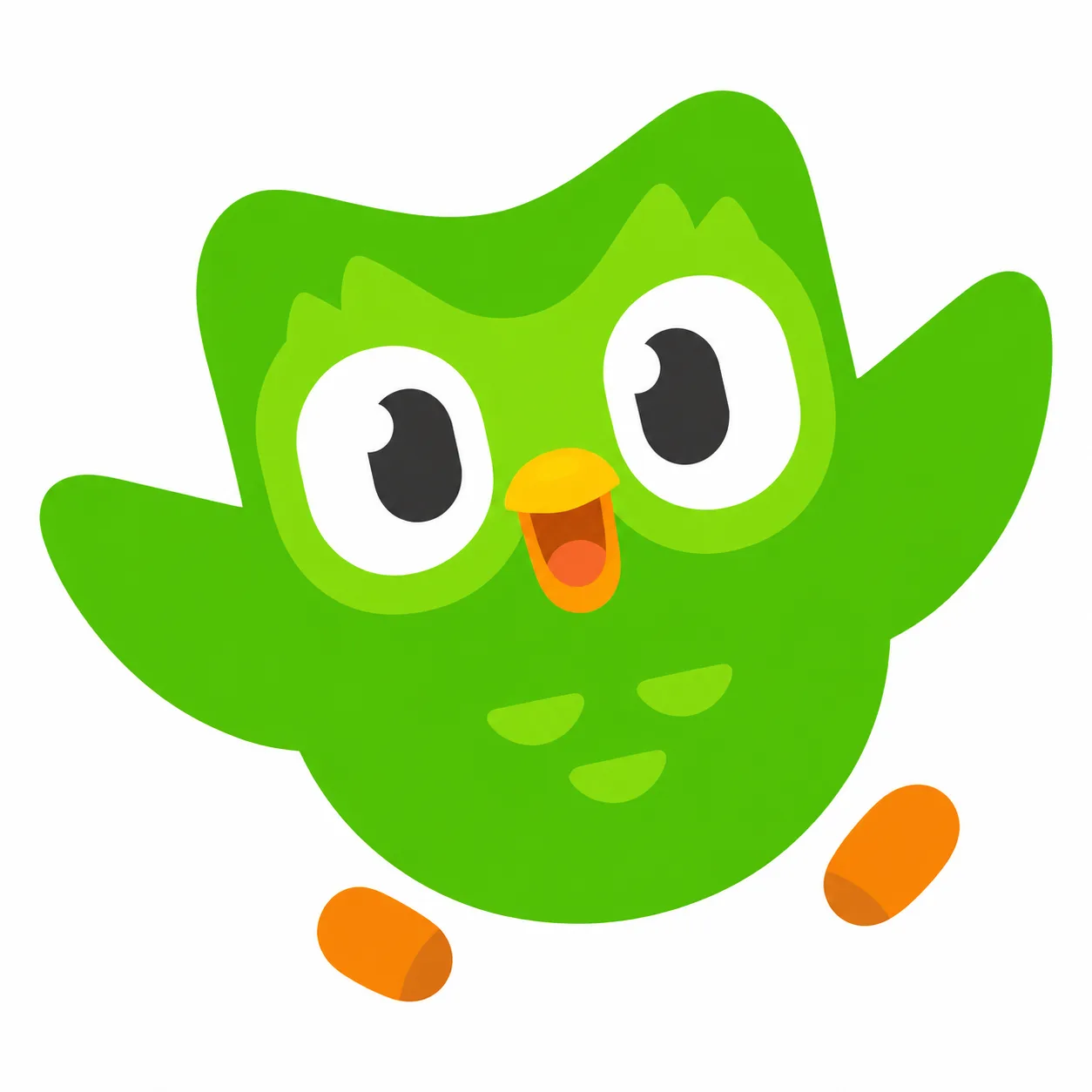Duolingo Super 12M